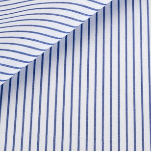 Poplin Stripes Blue