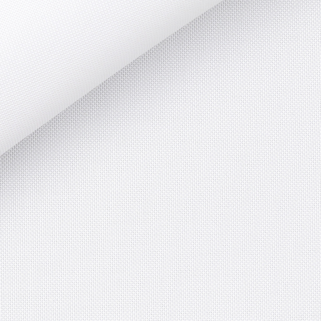 Plain White Oxford