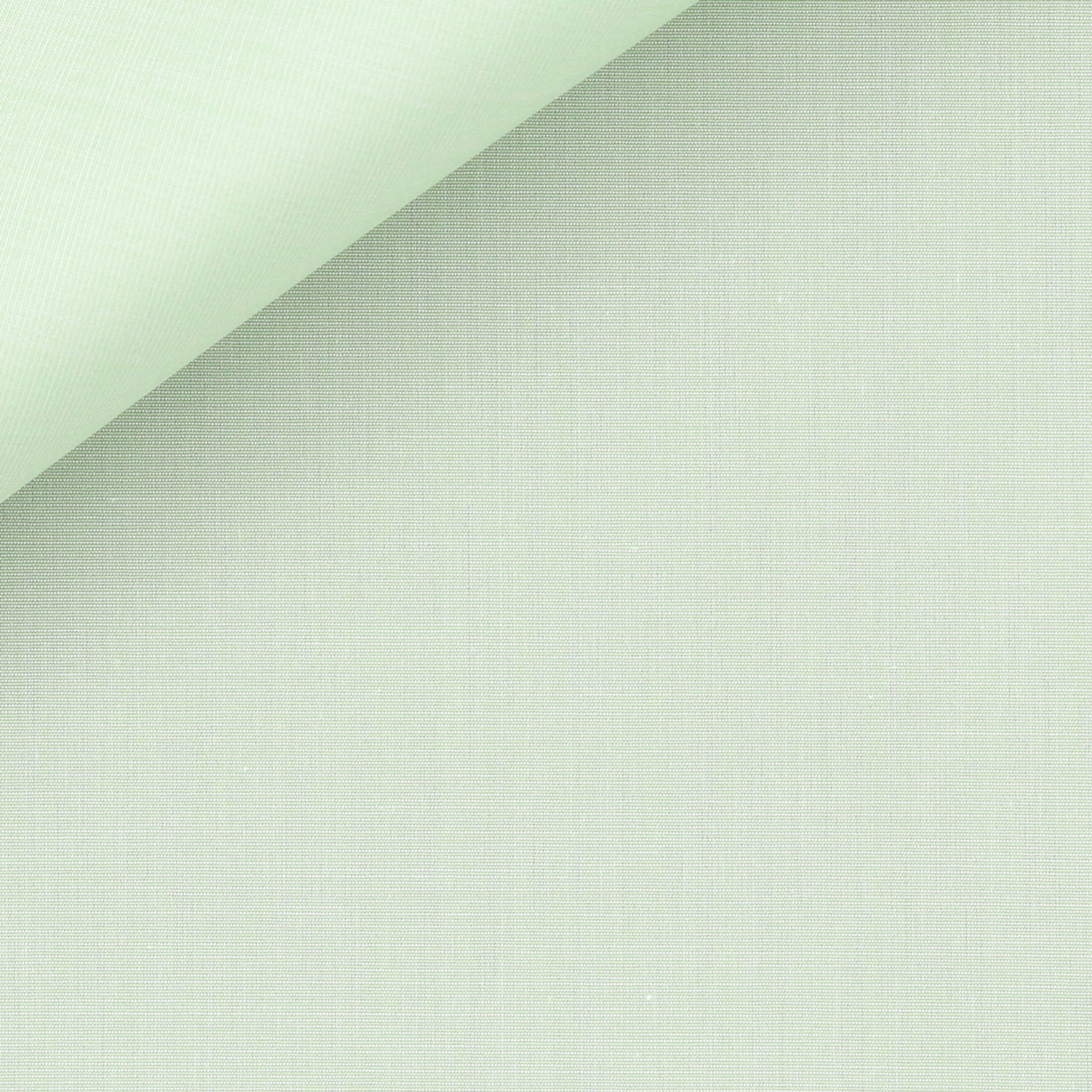 Poplin Plain Green