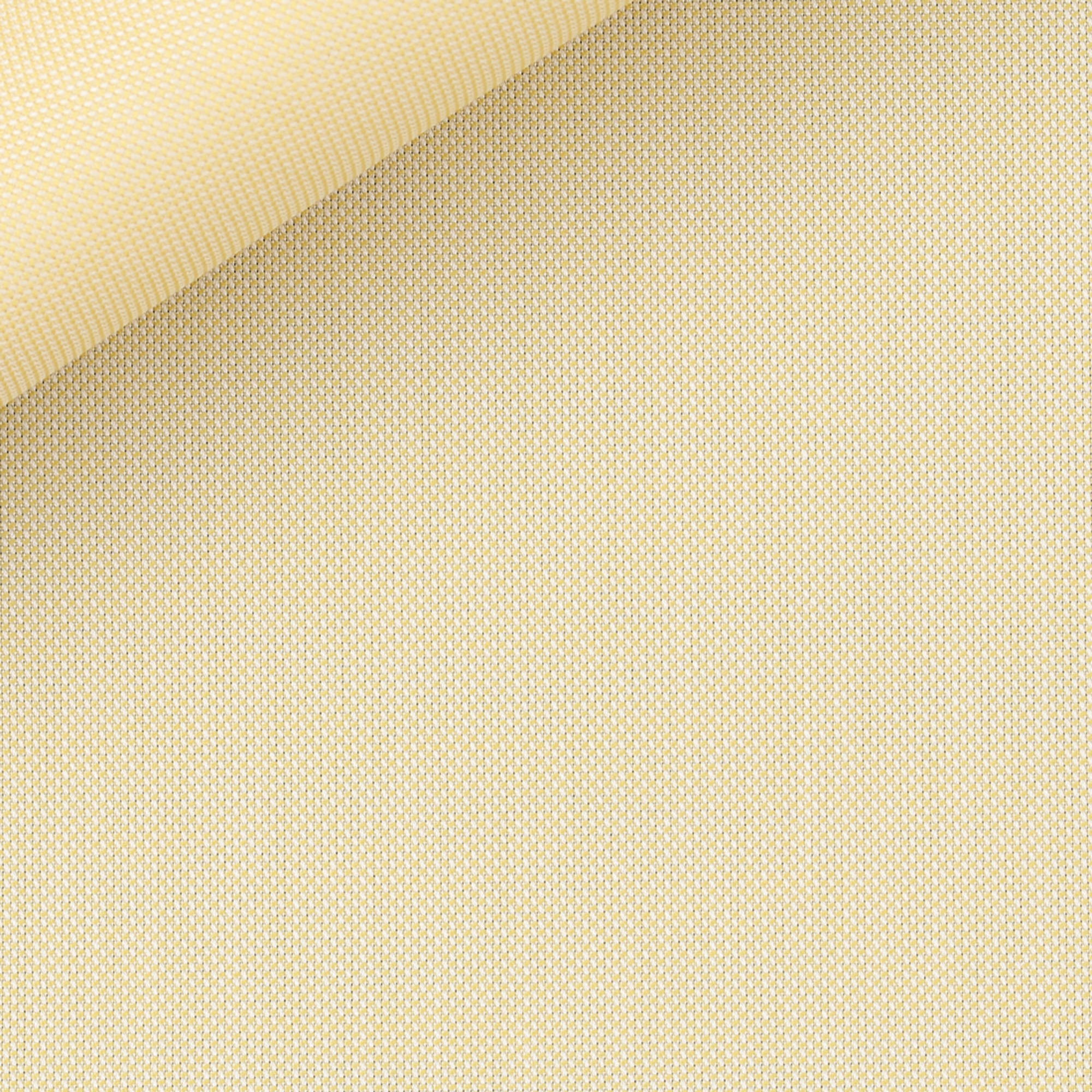 Oxford Plain Yellow