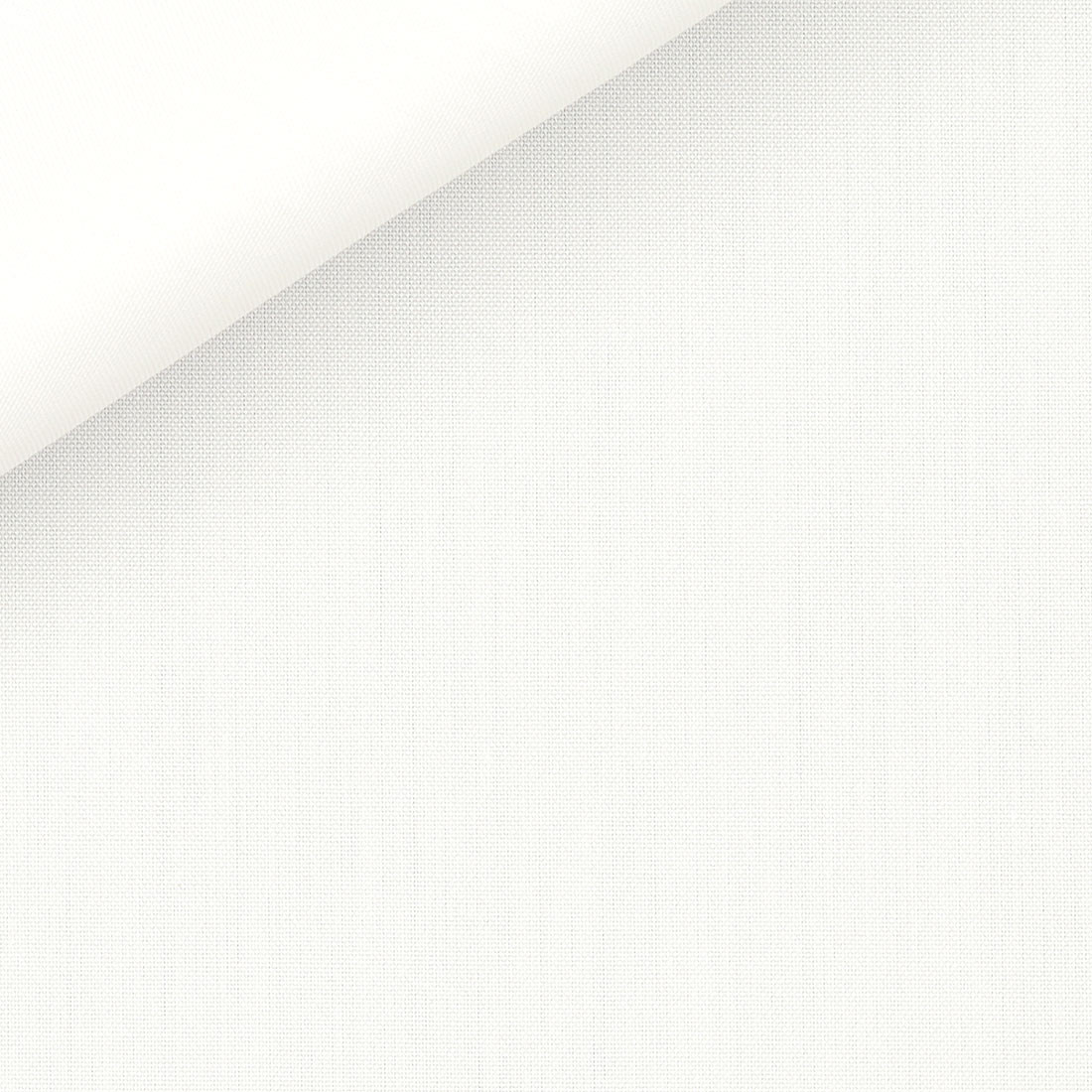 Pin Point Plain White