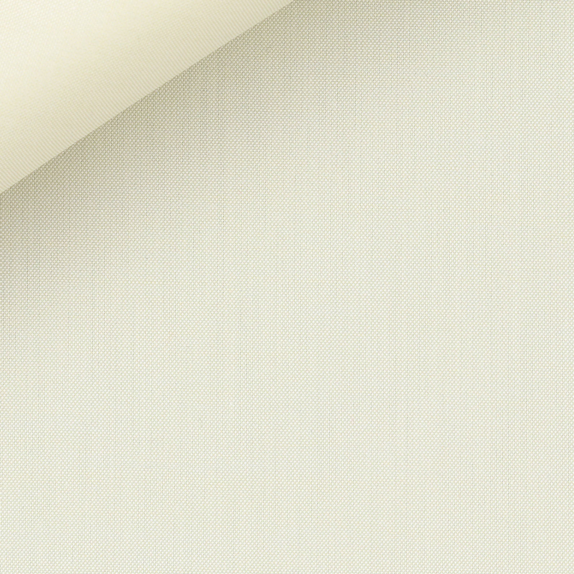 Pin Point Plain Yellow