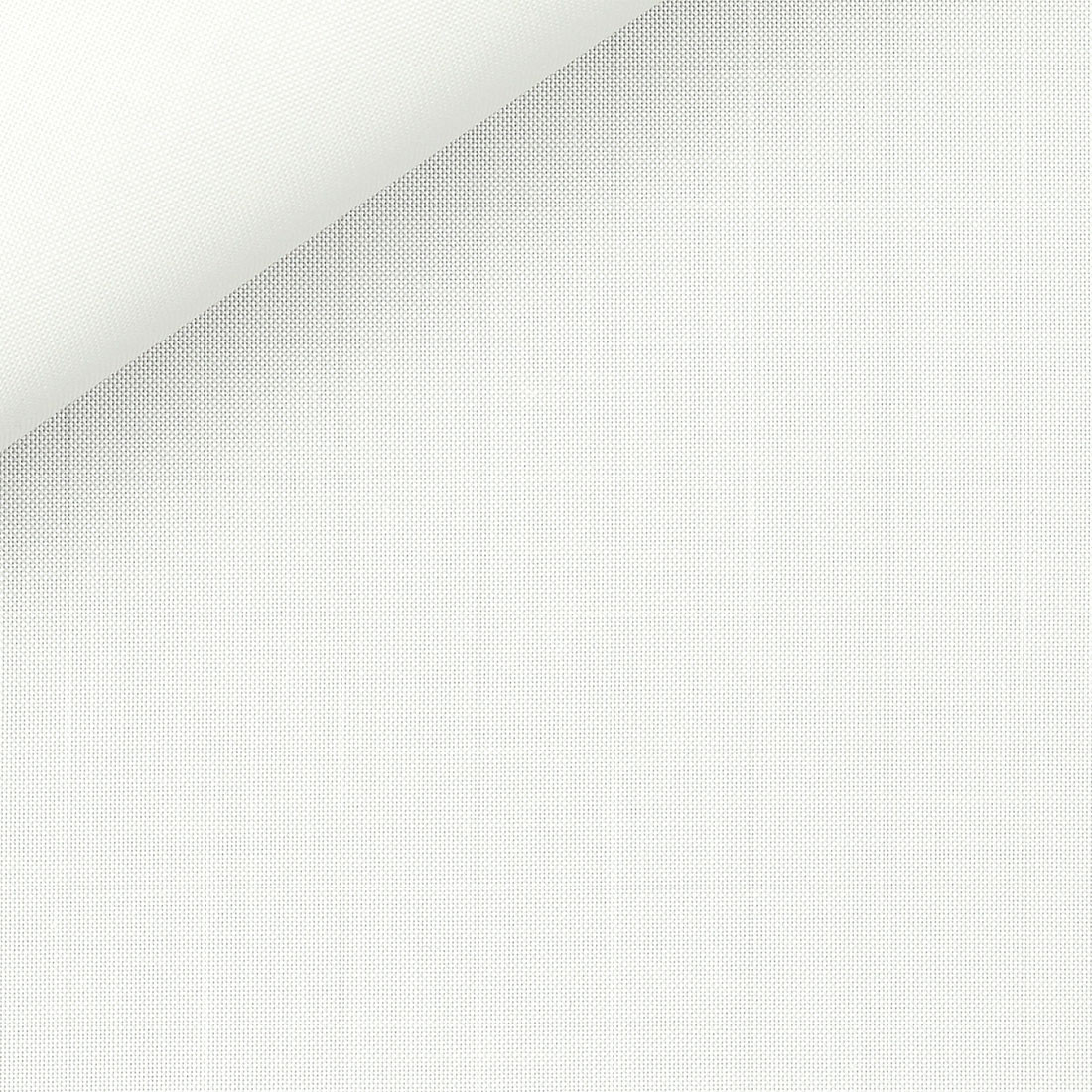 Oxford Plain Off-White