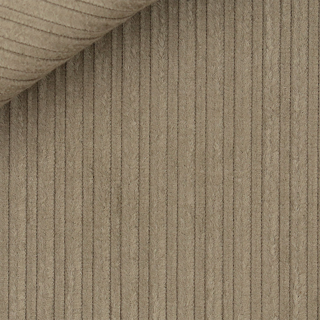 Corduroy Plain Brown