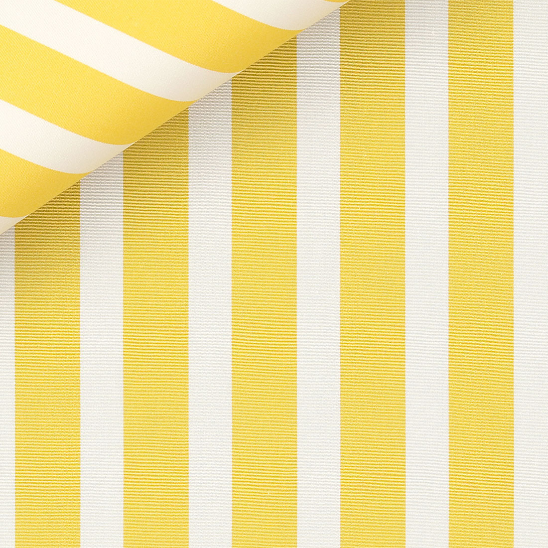 Poplin Stripes Yellow