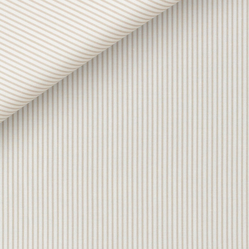 Poplin Stripes Beige