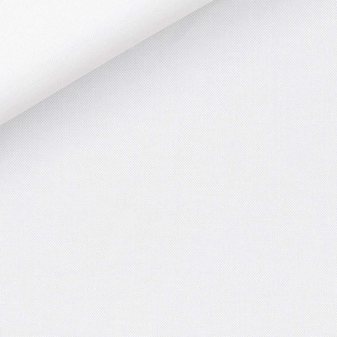 Pin Point Plain White