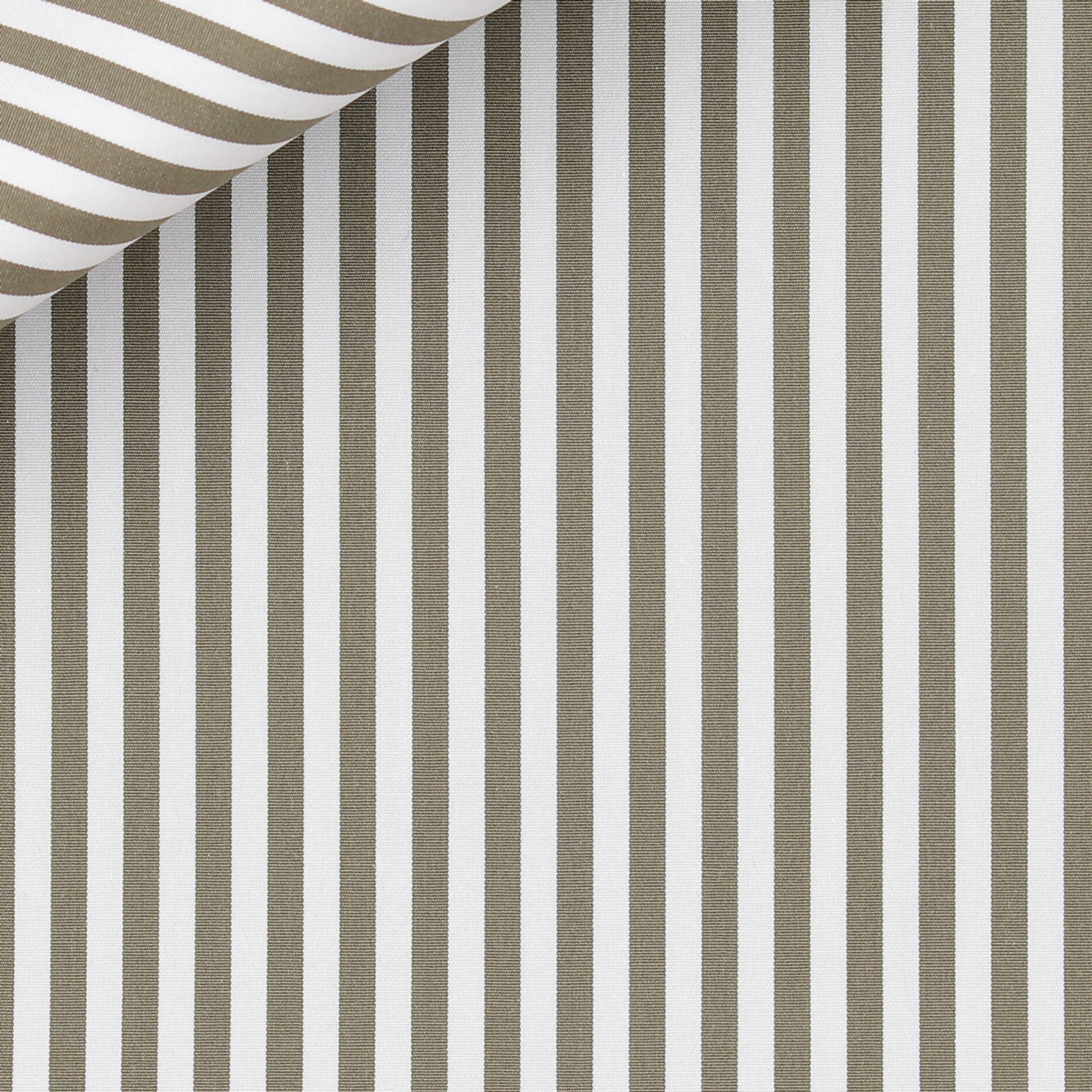 Poplin Stripes Green