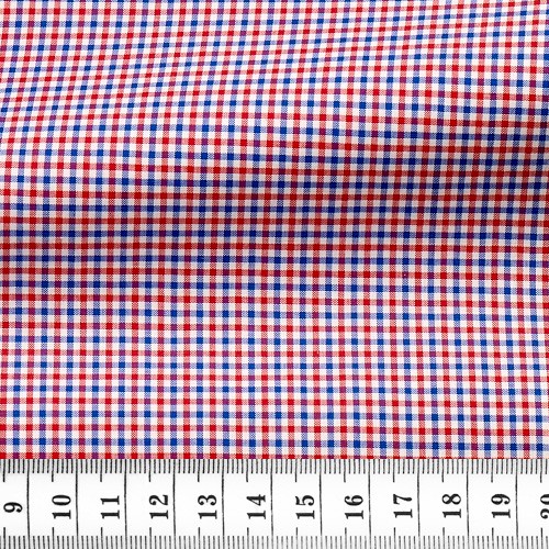 Zephir Check Pattern Blue Red