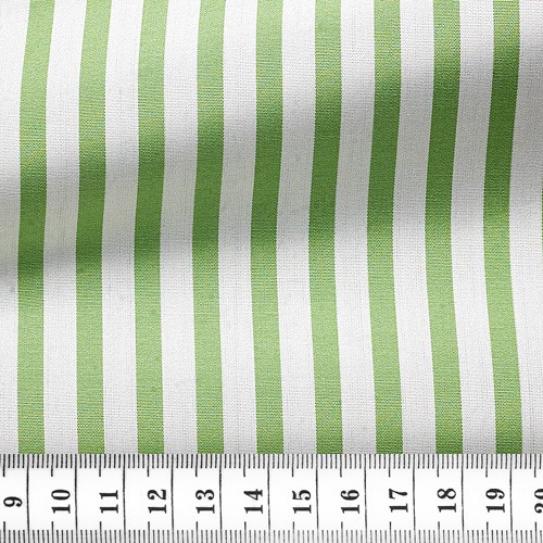 Poplin Stripes Green