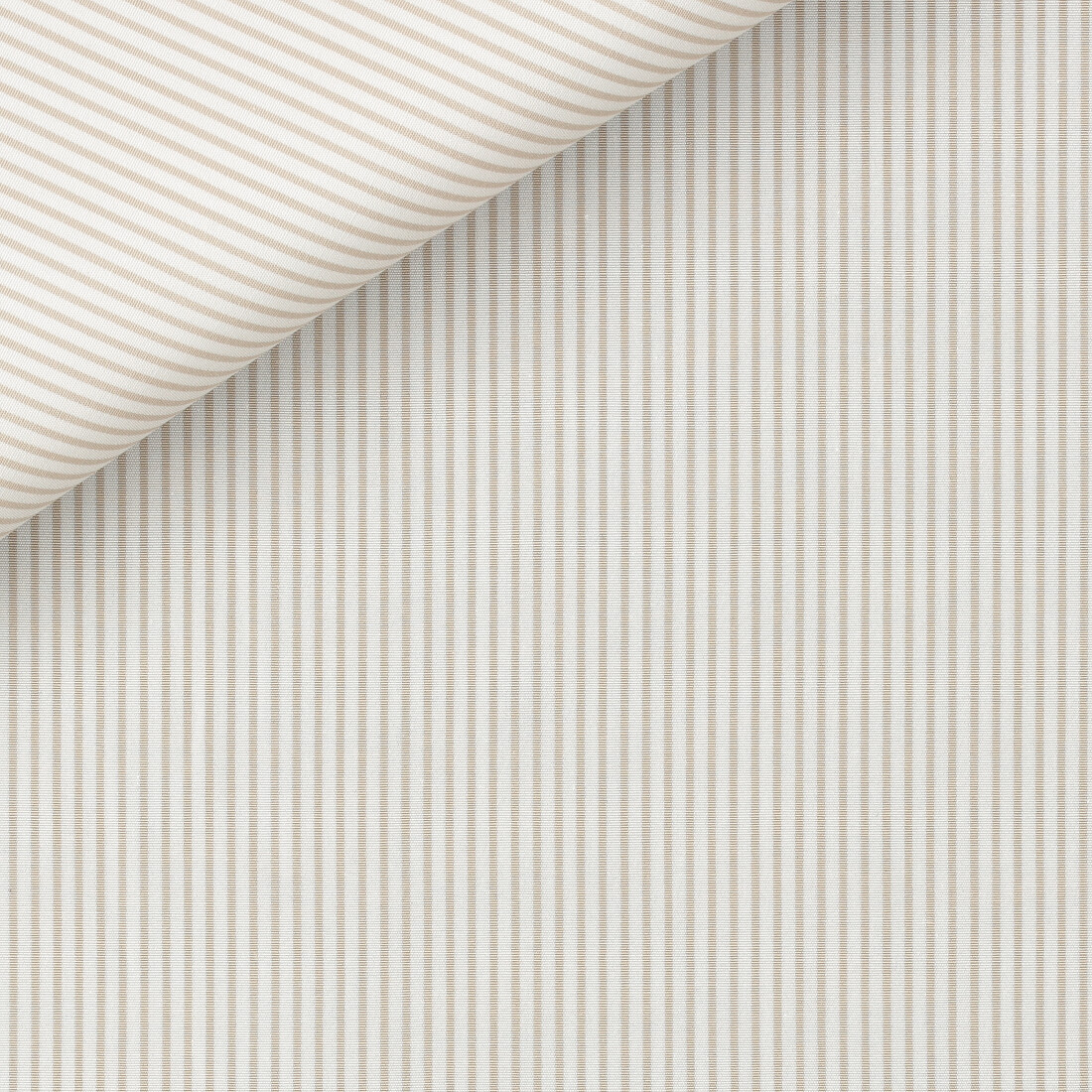 Poplin Stripes Beige