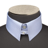 English Collar