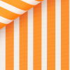 Poplin Stripes Orange
