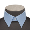 Small Classic Collar