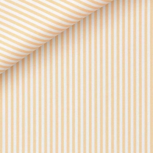 Pin Point Stripes Orange