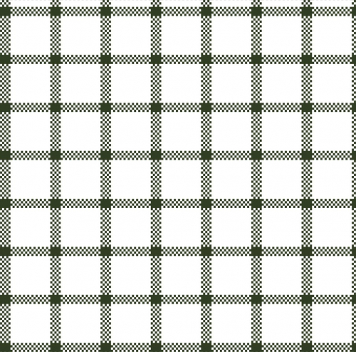 Oxford Check Pattern Green